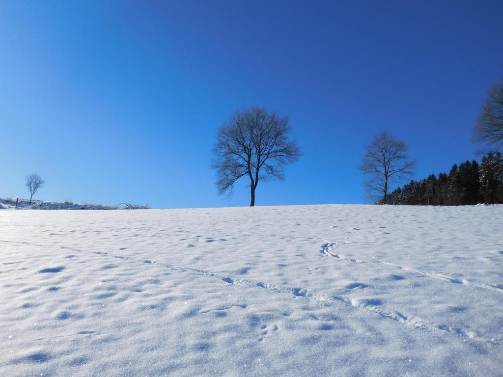 Ferienbauernhof Familie Stratmann Apartment เอสลัวห์ ภายนอก รูปภาพ